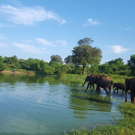 Kuma Safari Lodge Uda Walawe Extérieur photo